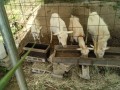 IMG_20260601_084226