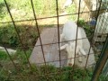 IMG_20260601_084240