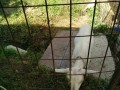 IMG_20260601_084243