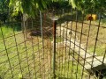 IMG_20260601_084324