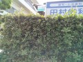 IMG_20260601_101207