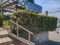IMG_20260601_114124