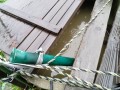 IMG_20260602_082912