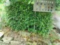 IMG_20260602_082925