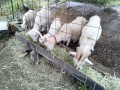 IMG_20260602_084653