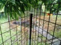 IMG_20260602_084742