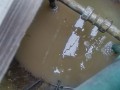 IMG_20260603_073421