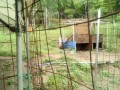 IMG_20260603_074050
