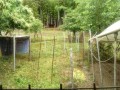 IMG_20260603_074111