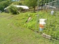 IMG_20260603_095623
