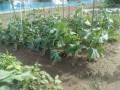 IMG_20260603_161905