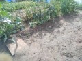 IMG_20260603_161908