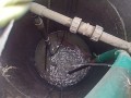 IMG_20260604_081100