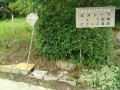 IMG_20260604_081108