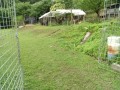 IMG_20260604_081441