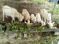 IMG_20260604_081736