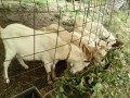 IMG_20260604_081753