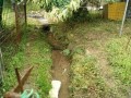 IMG_20260604_081758