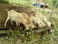 IMG_20260604_081820