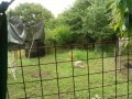 IMG_20260604_081845