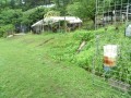 IMG_20260607_081652