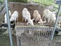 IMG_20260607_083602