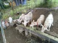 IMG_20260607_083613
