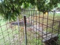 IMG_20260607_083708