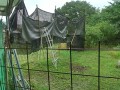 IMG_20260607_083714