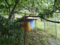IMG_20260607_083718