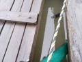 IMG_20260608_151632