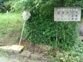 IMG_20260608_151640