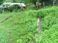 IMG_20260608_151718