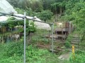 IMG_20260608_151740