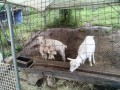 IMG_20260608_151807