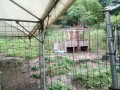 IMG_20260608_151810