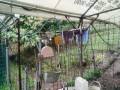 IMG_20260608_151817