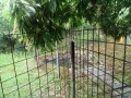 IMG_20260608_151836