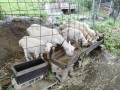 IMG_20260608_152027