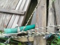 IMG_20260609_082753