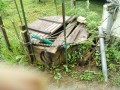 IMG_20260609_082756