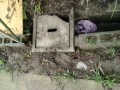 IMG_20260609_082804