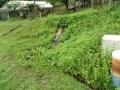 IMG_20260609_082911