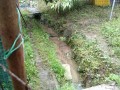 IMG_20260609_083614