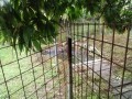 IMG_20260609_083700