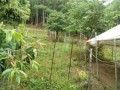 IMG_20260609_083713