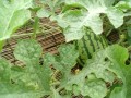 IMG_20260609_101603