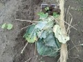 IMG_20260609_104606