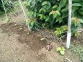IMG_20260609_115028