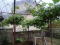 IMG_20260609_182913
